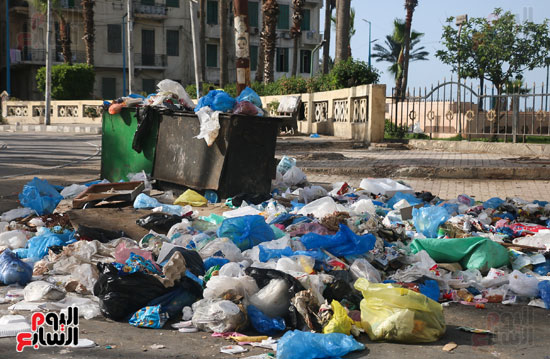 انتشار القمامه بالإسكندرية (7)