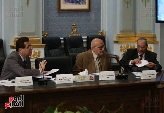 إجتماع اللجنة العامة بمجلس النواب  (12)
