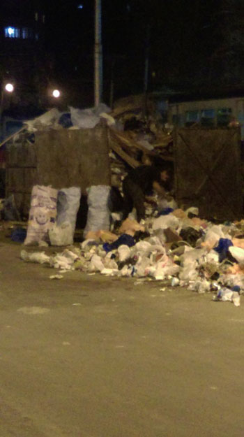 القمامة تحتل محيط ترام سيدى بشر فى الإسكندرية (1)
