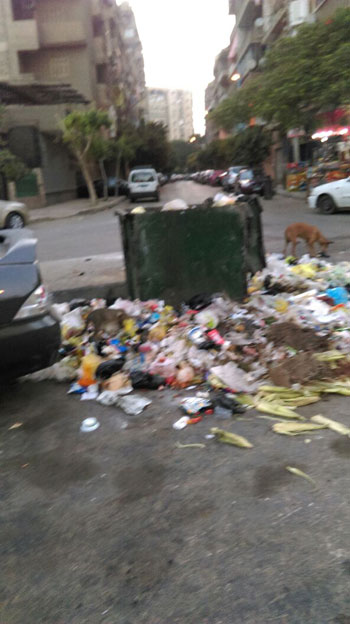 تراكم-القمامة-بشارع-السباق-بحى-مصر-الجديدة-..-ومواطنين-يطالبون-بزيادة-الصناديق--(2)
