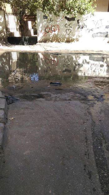  مياه الصرف الصحى تغرق شارع الأصبغ فى منطقة الزيتون (2)