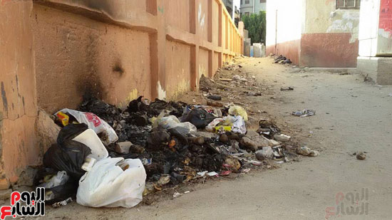 تراكم-أكوام-القمامة-فى-قرية-نشا-بمحافظة-الدقهلية--(4)