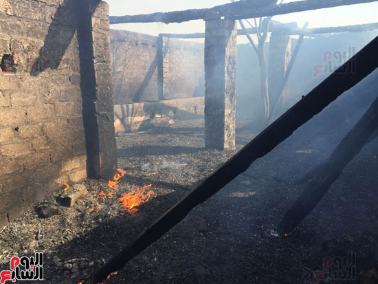 تفاصيل اشتعال 10 منازل ونفوق 70 رأس ماشية فى حريق بأسيوط (2)