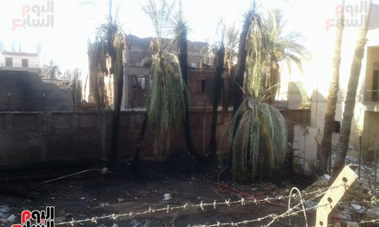  اندلاع حريق فى عدد من أشجار النخيل بمدينة أرمنت غرب الأقصر (1)