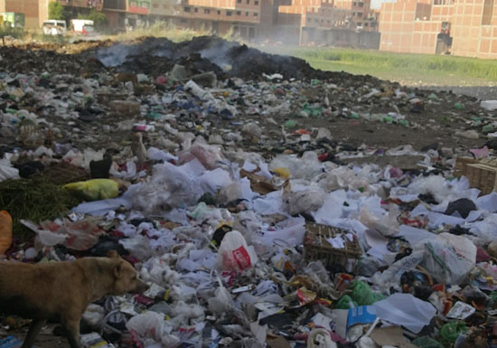  القمامة تملأ شارع الشعرواى فى شبرا الخيمة  (4)