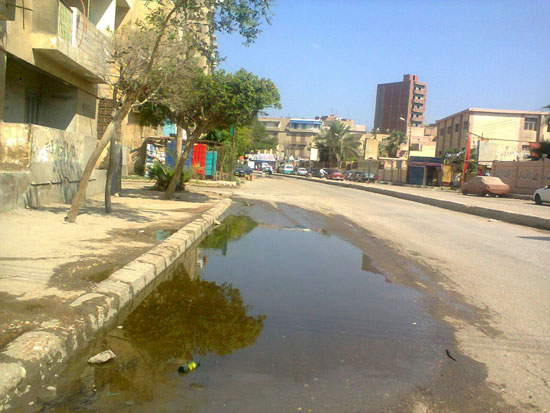 مياه الصرف الصحى تغرق أحد الشوارع بحى قحافة (2)
