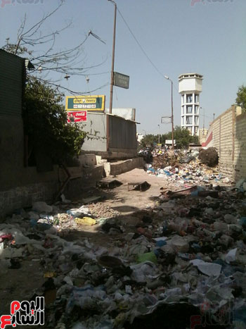 القمامة تغرق شوارع الإسكندرية والمحافظة تعجز عن حل الأزمة (3)