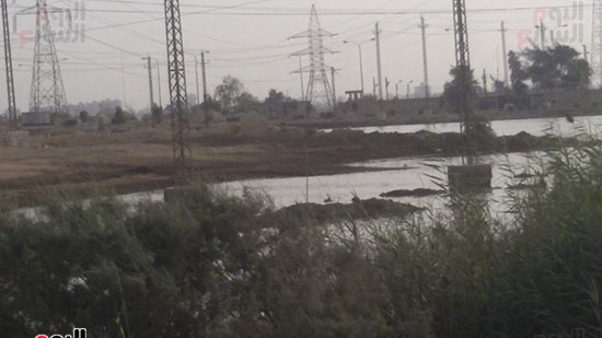 محافظة بنى سويف ،مياه الصرف الصناعى ،محطة كهرباء بنى سويف، الغابة الشجرية ببنى سويف  (8)