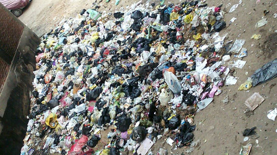 القمامة تحاصر منازل وشوارع عزبة الشال (3)