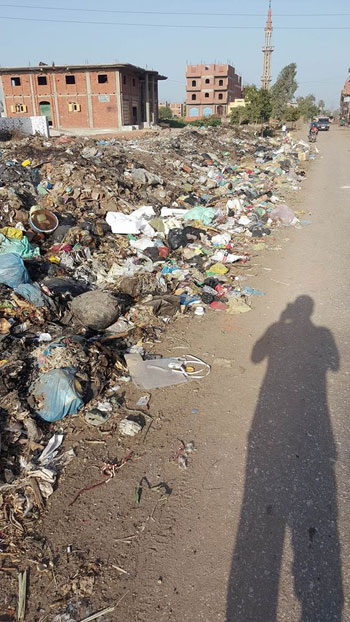 انتشار القمامة بقرية ميت بشار فى الشرقية (1)