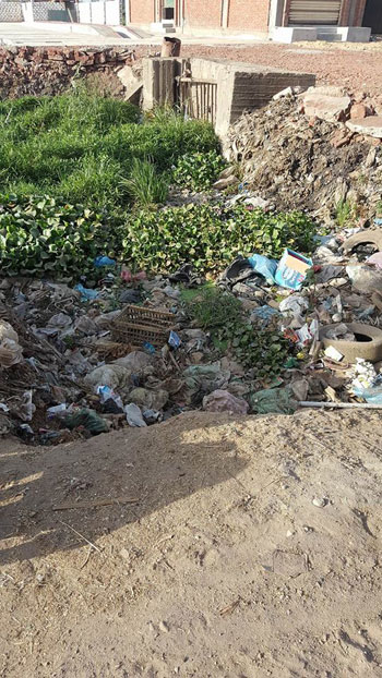 انتشار القمامة بقرية ميت بشار فى الشرقية (2)