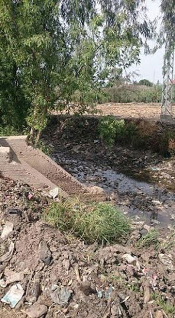 نقص المياه يهدد بتجريف الأراضى الزراعية بالمنيا (2)