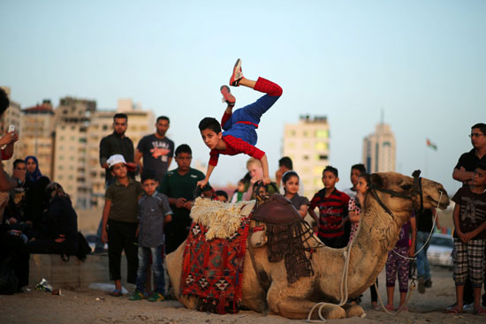 الطفل العنكبوت يظهر فى غزة (1)