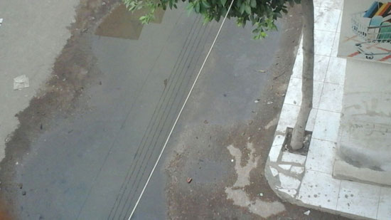 مياه الصرف الصحى تغرق شوارع حى المحطة فى الدقهلية  (5)