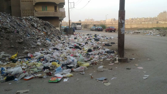 أكوام القمامة بجوار كلية العلوم فى بنها (1)