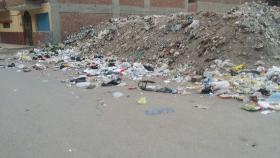 أكوام القمامة بجوار كلية العلوم فى بنها (2)