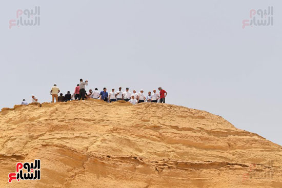 جانب من الاحتفال يوم البيئة العالمى بالفيوم (4)