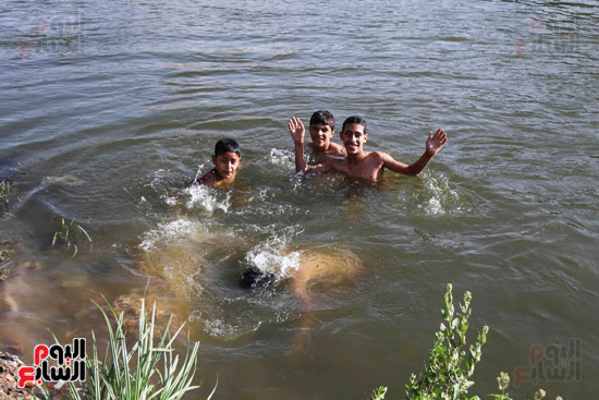 الأطفال يهربون من الحرارة المرتفعة بالاستحمام فى مياه النيل (1)