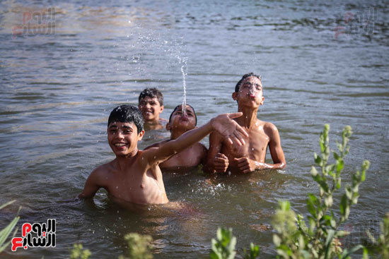 الأطفال يهربون من الحرارة المرتفعة بالاستحمام فى مياه النيل (2)
