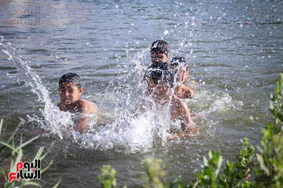 الأطفال يهربون من الحرارة المرتفعة بالاستحمام فى مياه النيل (4)