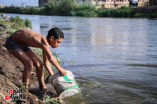 الأطفال يهربون من الحرارة المرتفعة بالاستحمام فى مياه النيل (5)