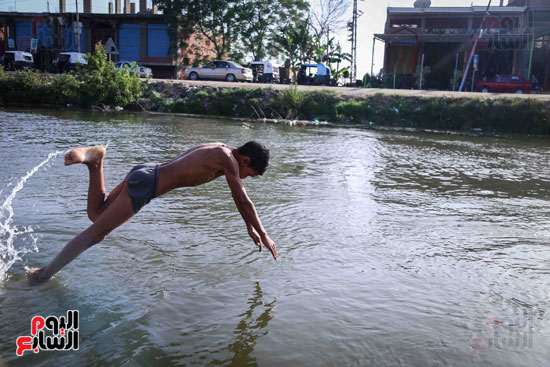 الأطفال يهربون من الحرارة المرتفعة بالاستحمام فى مياه النيل (6)