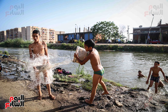 الأطفال يهربون من الحرارة المرتفعة بالاستحمام فى مياه النيل (8)