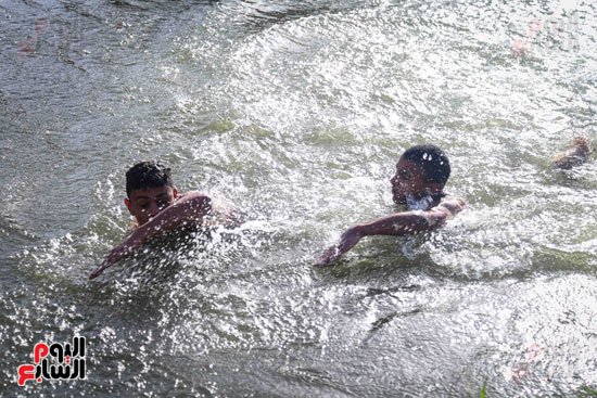 الأطفال يهربون من الحرارة المرتفعة بالاستحمام فى مياه النيل (17)