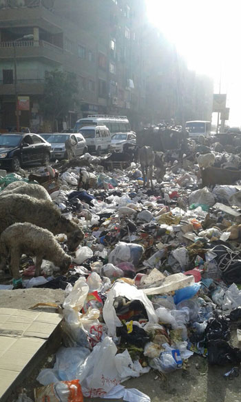 القمامة تحاصر شارع القومية بالوراق ومناشدات بإزالتها (3)