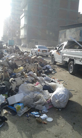 القمامة تحاصر شارع القومية بالوراق ومناشدات بإزالتها (4)