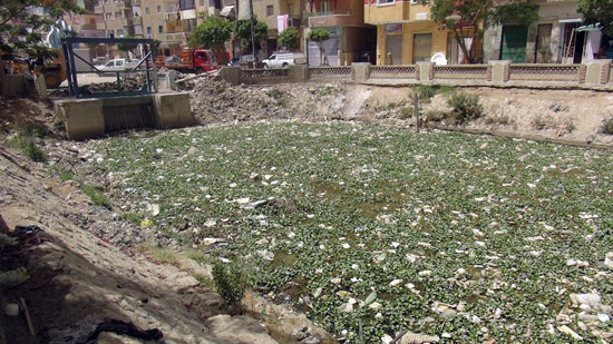  المياه الملوثة التى تغذى مدينة السويس  (1)