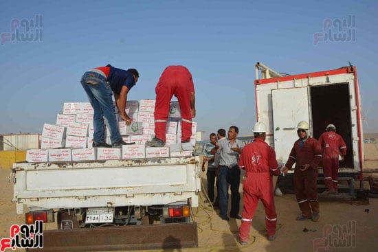 توزيع كراتين رمضان على عمال مشروع الـ1,5 مليون فدان بالمنيا (2)
