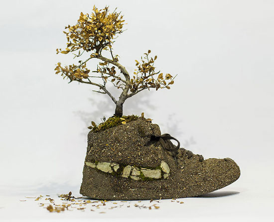 مزيج من الطين والنباتات والطحالب مع الحذاء -اليوم السابع -7 -2015