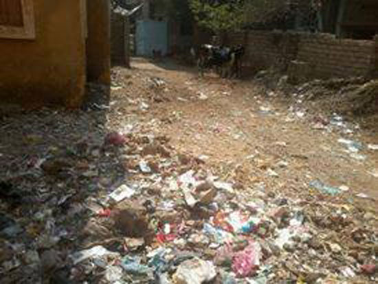 اليوم السابع -7 -2015