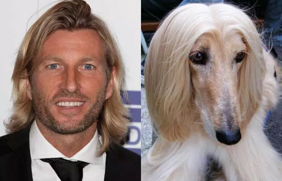 روبي سافاج والكلب الأفغانى -اليوم السابع -7 -2015