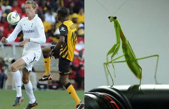  بيتر كراوتش والجرادة  -اليوم السابع -7 -2015