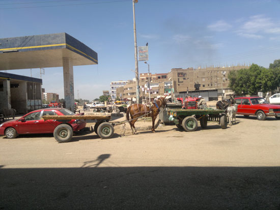 اليوم السابع -7 -2015