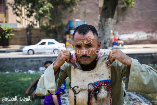 اليوم السابع -7 -2015