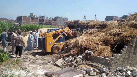 اليوم السابع -7 -2015