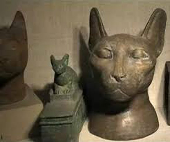    القطط فى التاريخ الفرعونى مقدسة -اليوم السابع -7 -2015