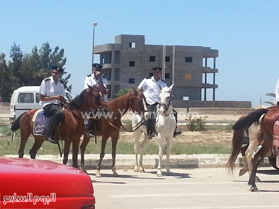 قوات الأمن تستخدم الخيل لتمشيط محيط إستاد برج العرب قبيل مباراة الأهلى والزمالك -اليوم السابع -7 -2015