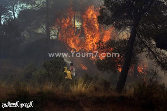 اليوم السابع -7 -2015