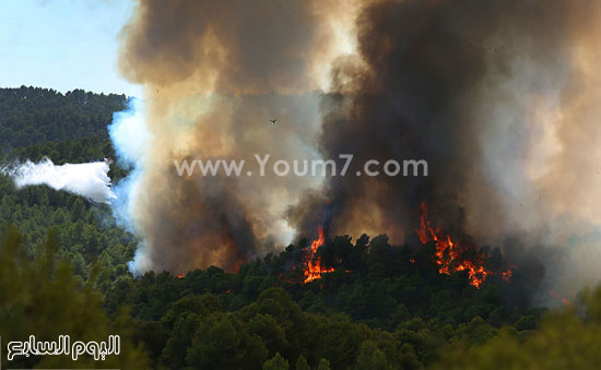 اليوم السابع -7 -2015