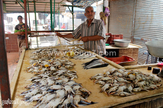 تاجر أسماك يجهز الطاولة في انتظار الزبائن  -اليوم السابع -7 -2015