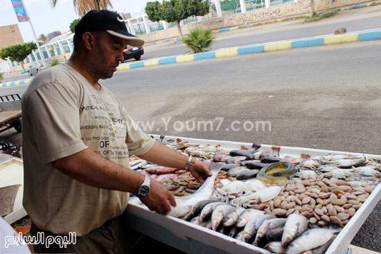 	وقف الصيد بالبحيرة رفع سعر الاسماك الواردة من المحافظات القريبة -اليوم السابع -7 -2015