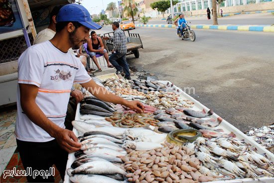 بائع بسوق السمك على بحيرة الصيادين -اليوم السابع -7 -2015