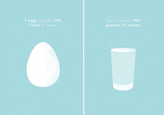 البيضة الواحدة تحتاج 196 لتر من الماء -اليوم السابع -7 -2015