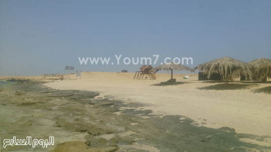 جزيرة الجفتون قطعة من الجنة على أرض البحر الأحمر -اليوم السابع -7 -2015
