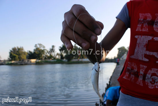 	تجمع الأصدقاء للصيد أحد النزهات المفضلة بالإسماعيلية  -اليوم السابع -7 -2015