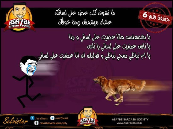 لما تشوف كلب عض لسانك عشان ميشمش ريحة خوفك -اليوم السابع -7 -2015